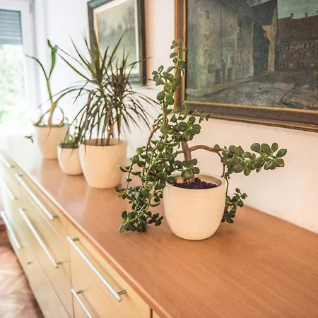 Kirsche - 85 Sqm - Free Parking Sarajevo